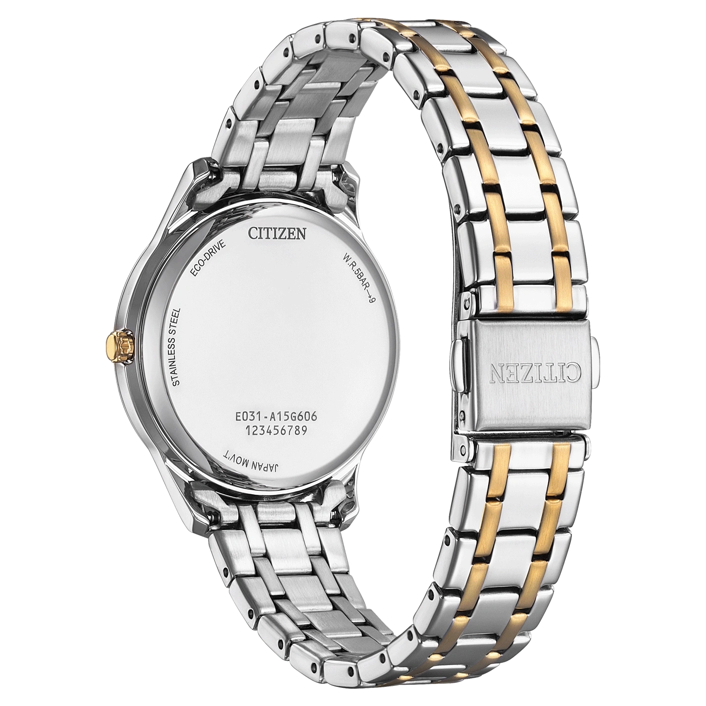 Citizen watch back, stainless steel, Eco-Drive, Japan movement, gold accents.