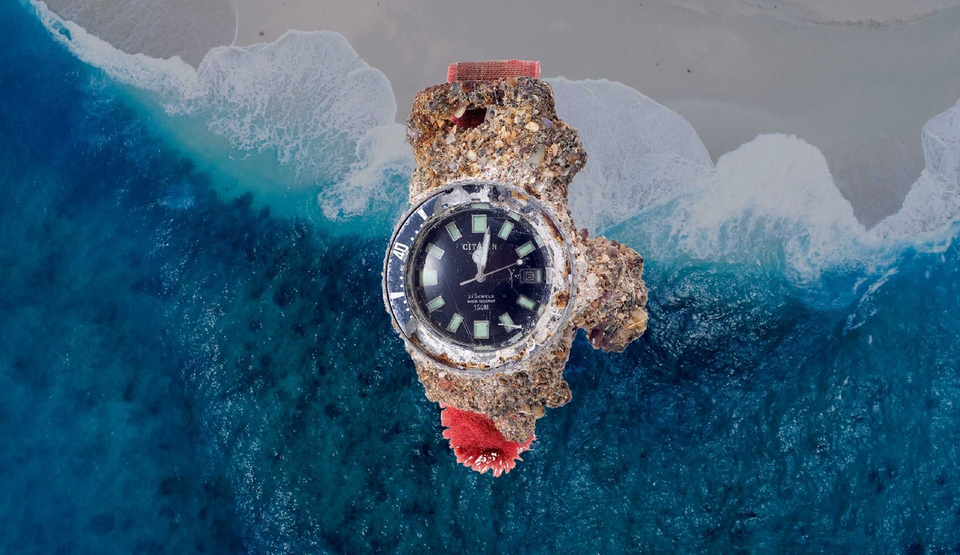 A watch covered in barnacles sits in the ocean, with a beach in the background.