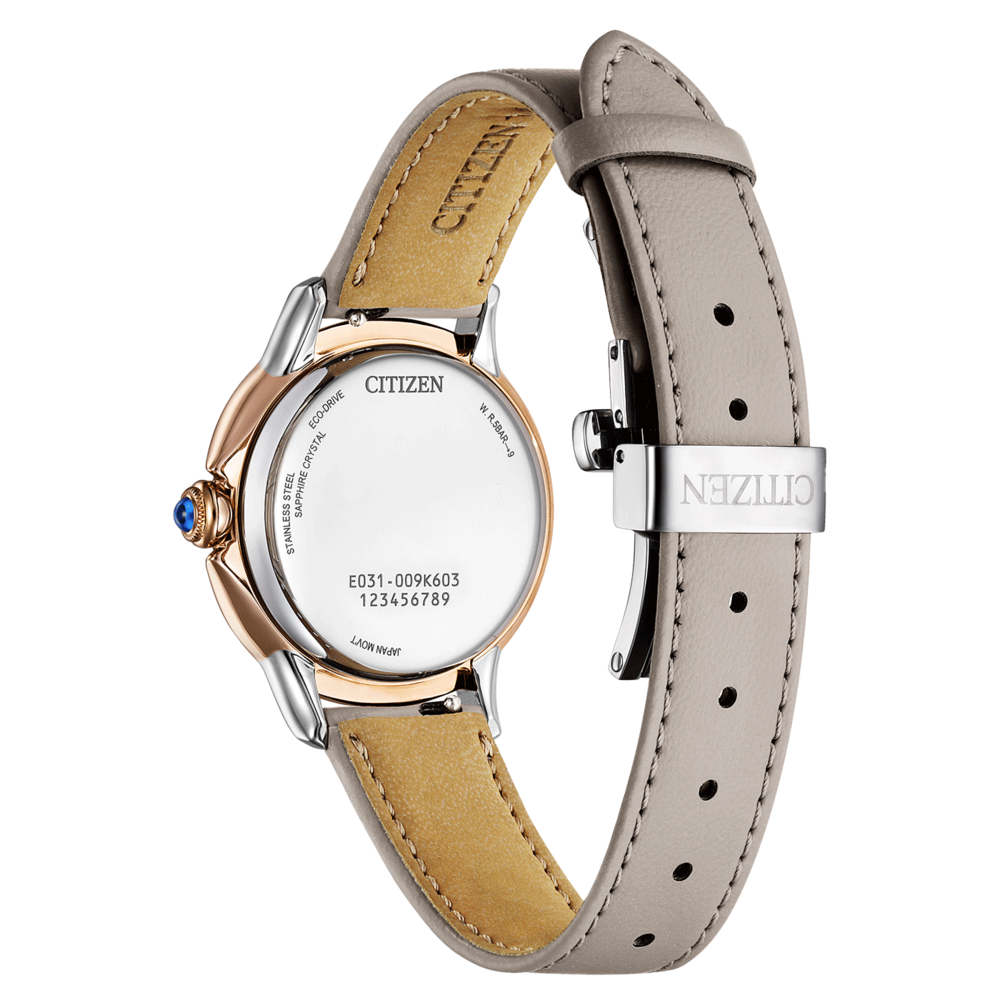 EM1166-01Z Citizen L