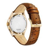 AW1753-10A