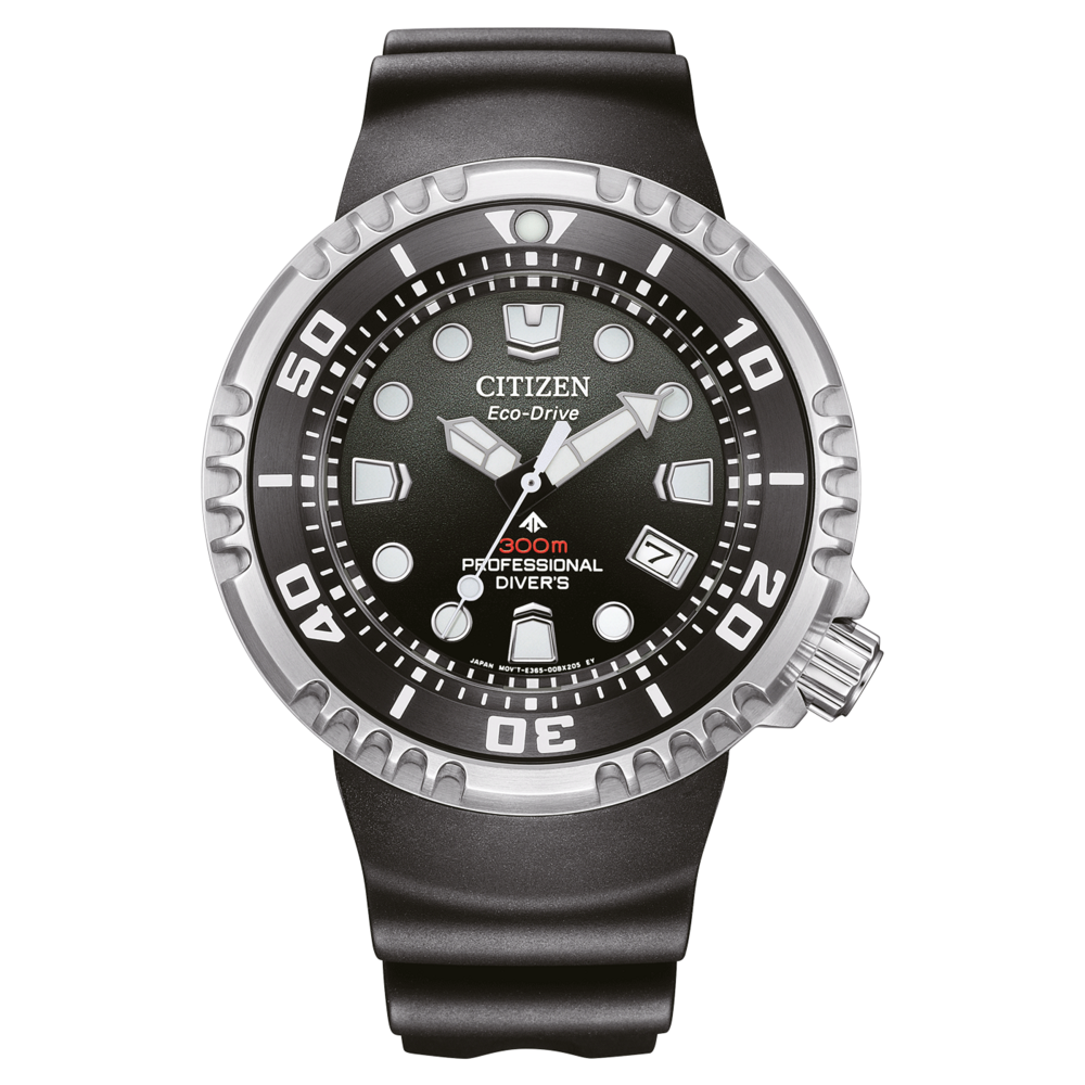 BN1024-01E Prof. Diver 300
