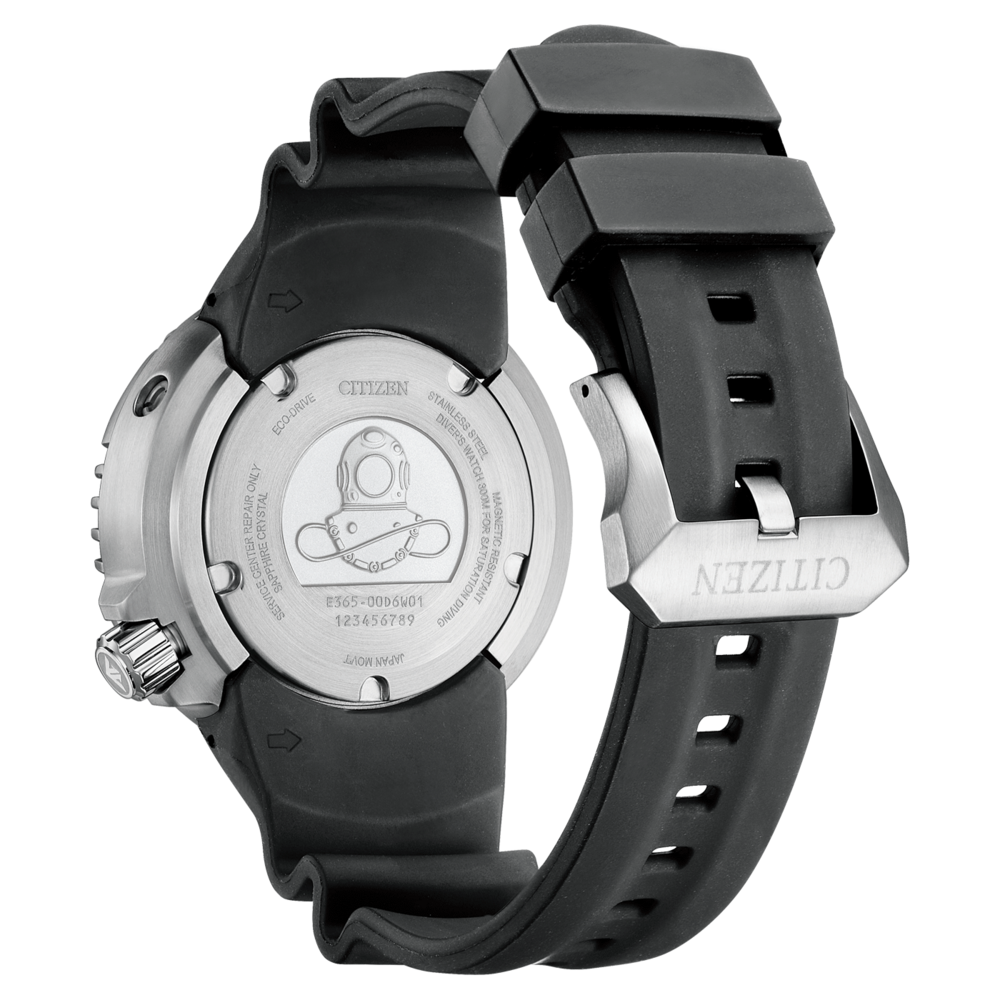 BN1024-01E Prof. Diver 300