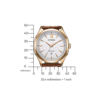 AW1753-10A