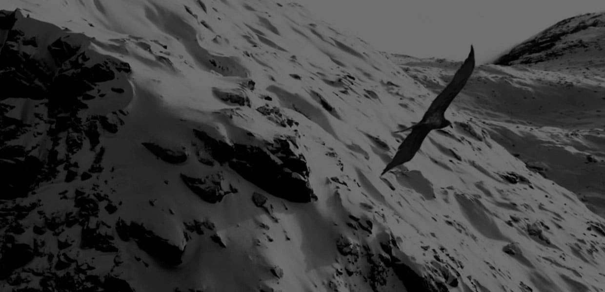 A bird soaring over a snowy mountain range in black and white.