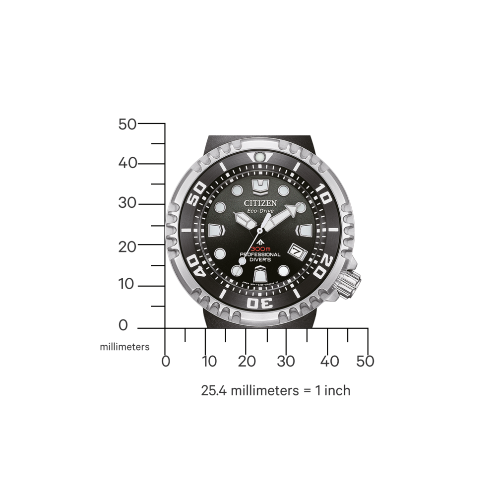 BN1024-01E Prof. Diver 300