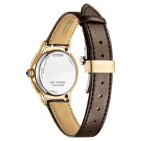 EM1163-09X