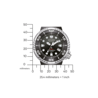 BN1024-01E Prof. Diver 300