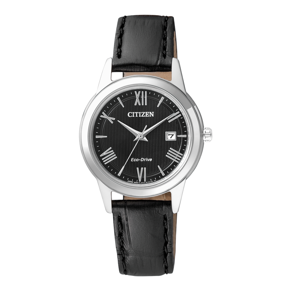 FE1081-08E
