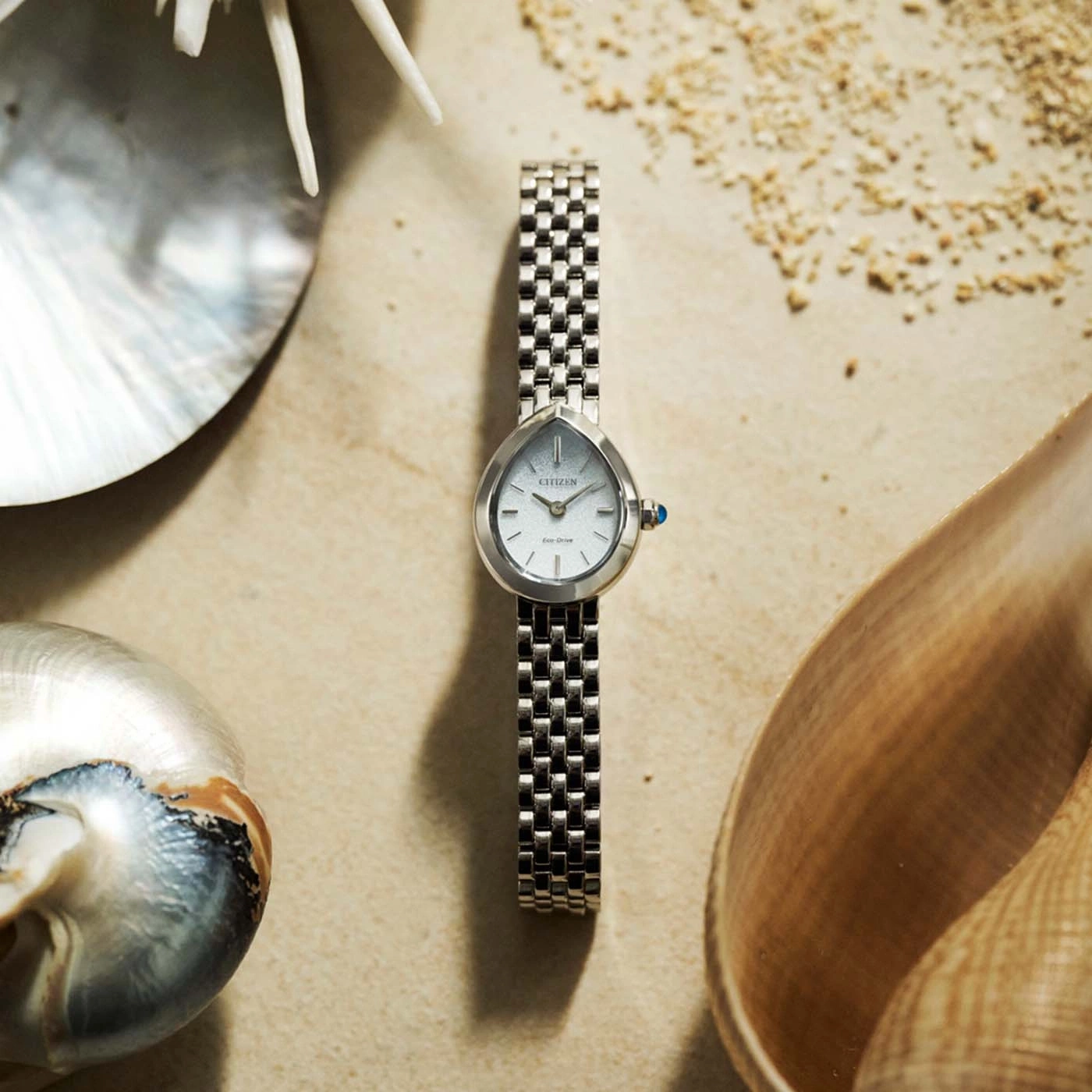 A Citizen Eco-Drive watch on a sandy beach with shells.