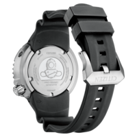 BN1024-01E Prof. Diver 300