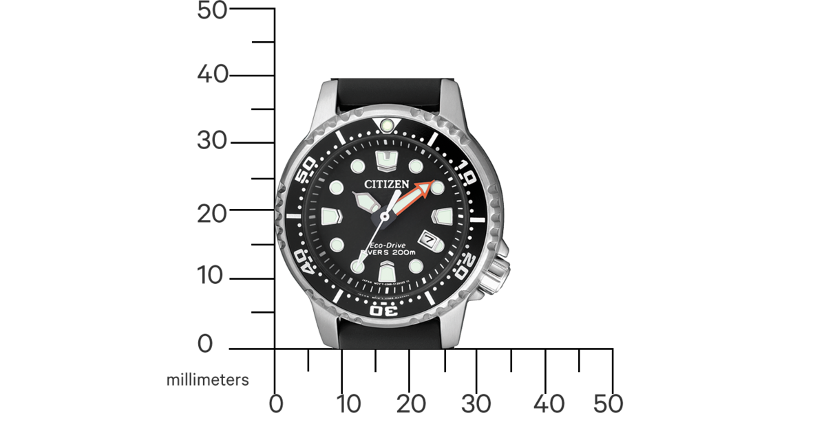 www.citizenwatch.eu