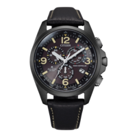 CB5925-15E Promaster Land