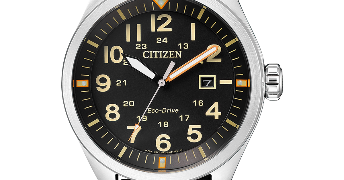 www.citizenwatch.eu