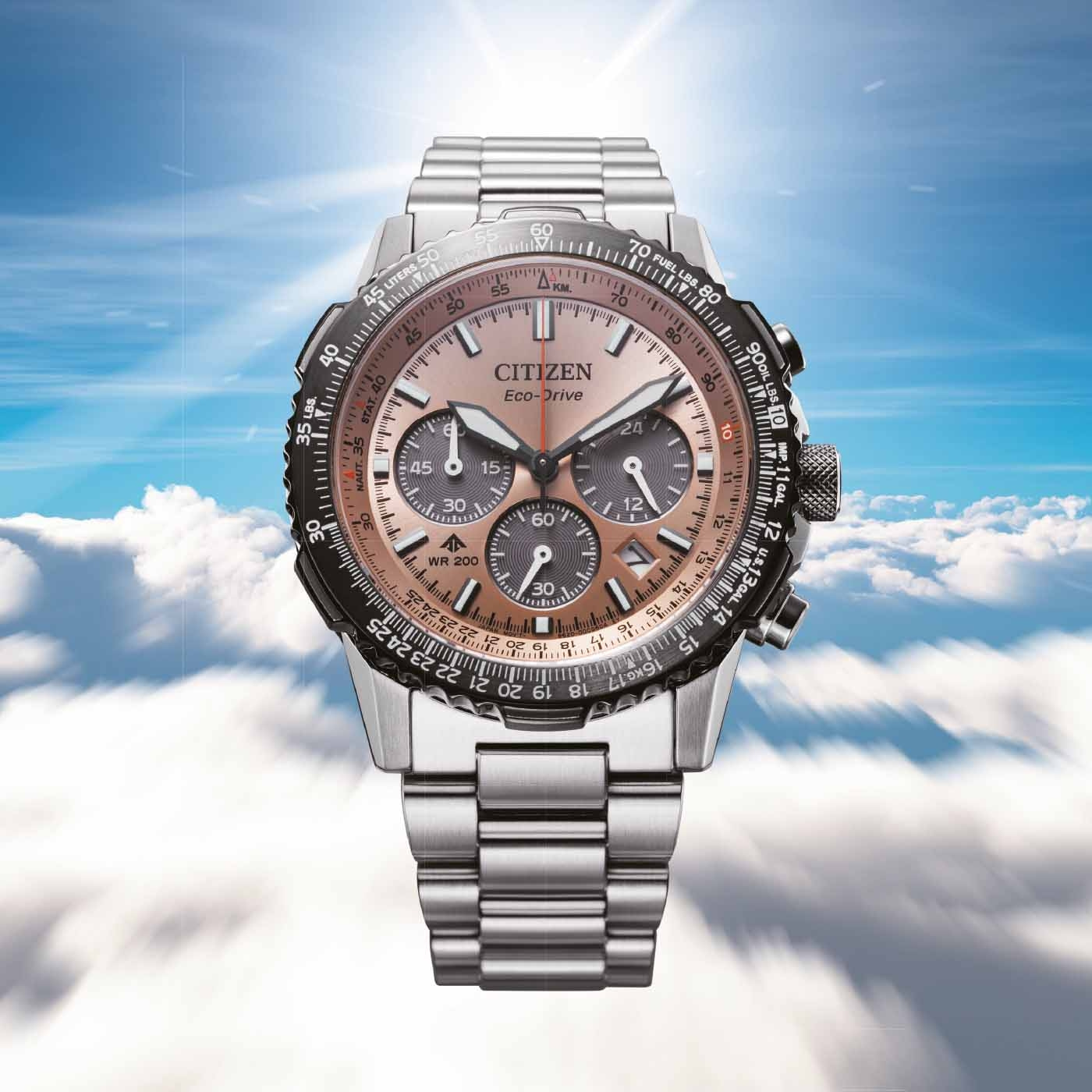 Citizen Eco-Drive watch with a brown face and silver band against a sky background.