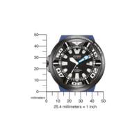 BJ8055-04E Promaster Professional Diver 300