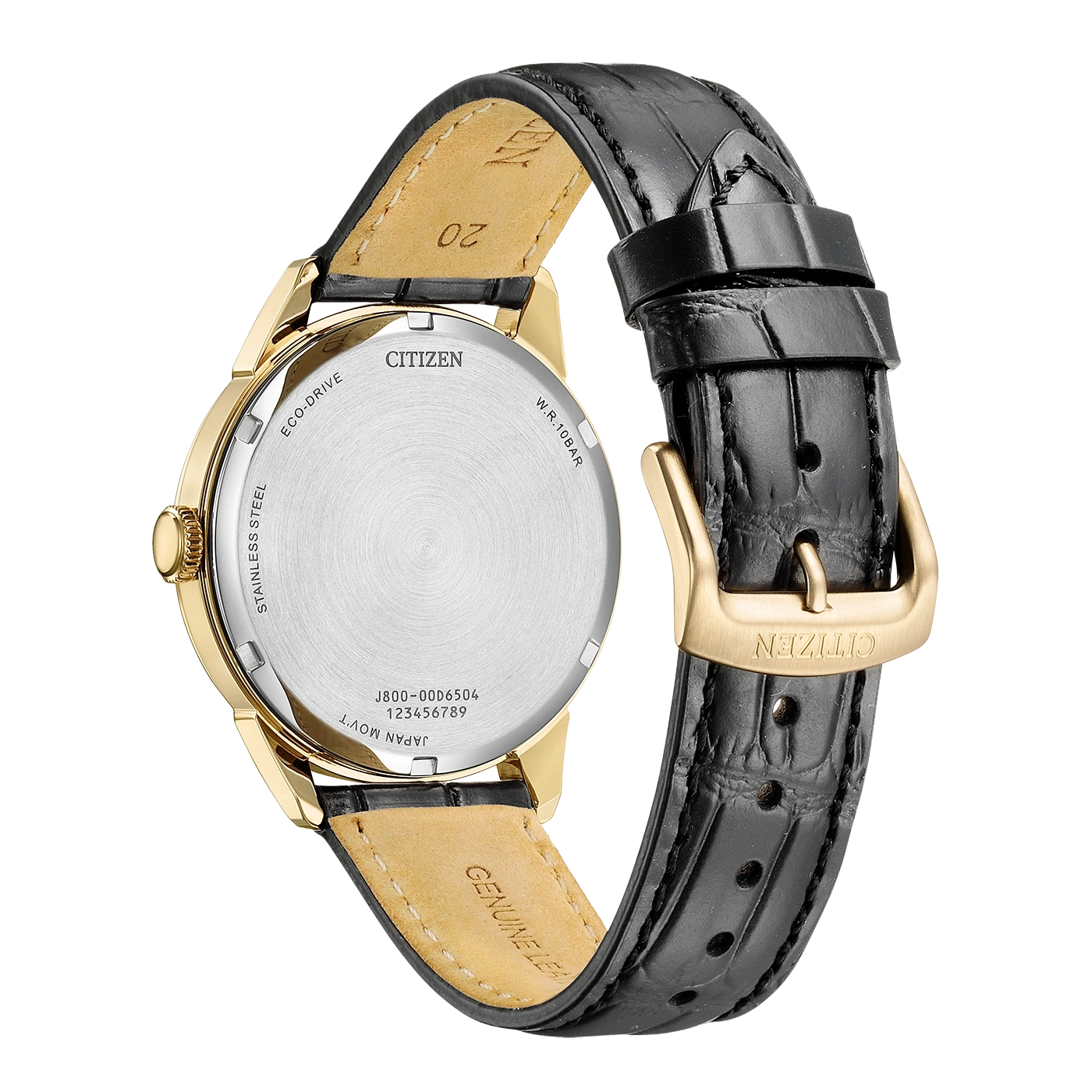 Back of a gold Citizen Eco-Drive watch with a black leather strap.