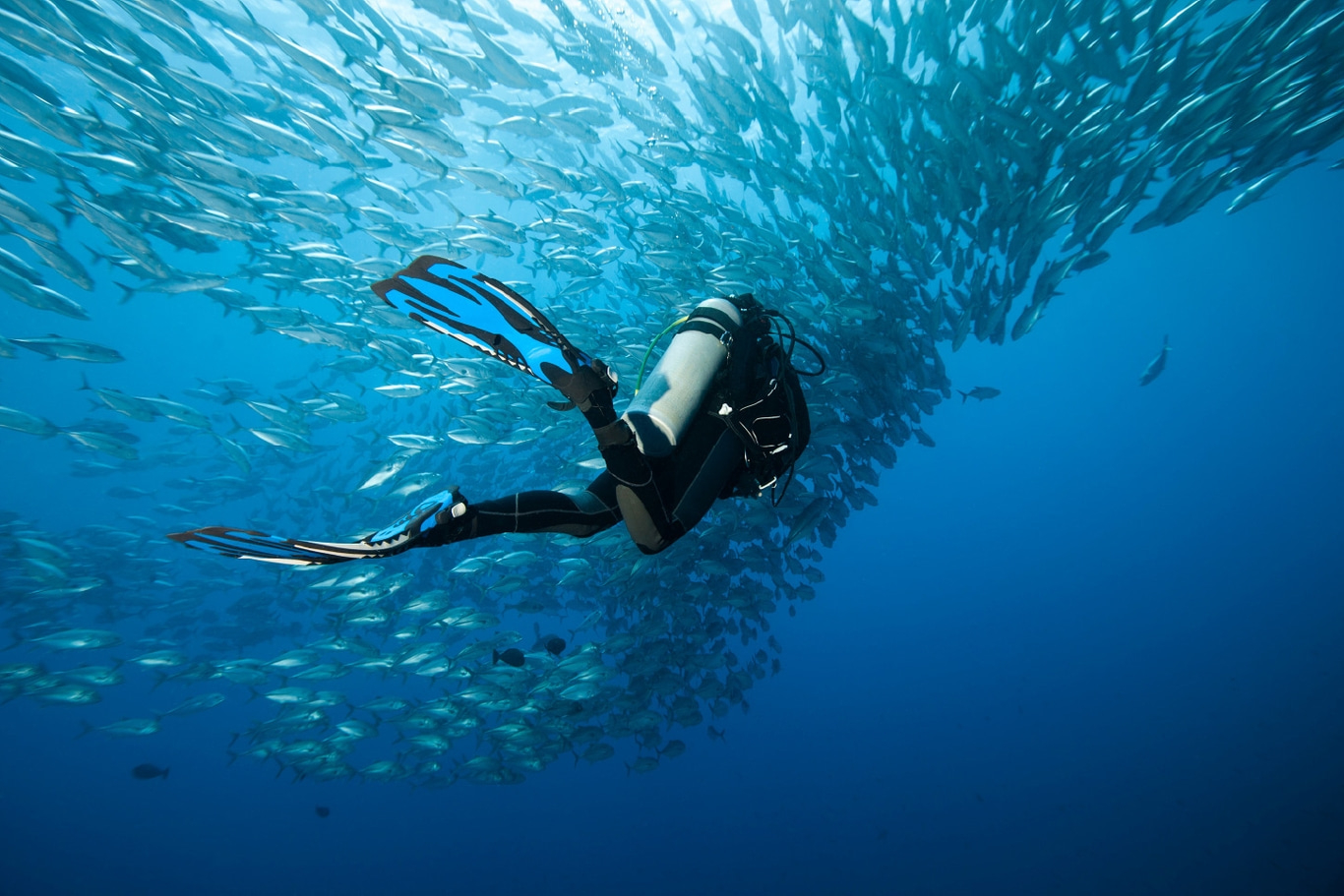 Diver swims through a school of fish in the deep blue ocean.