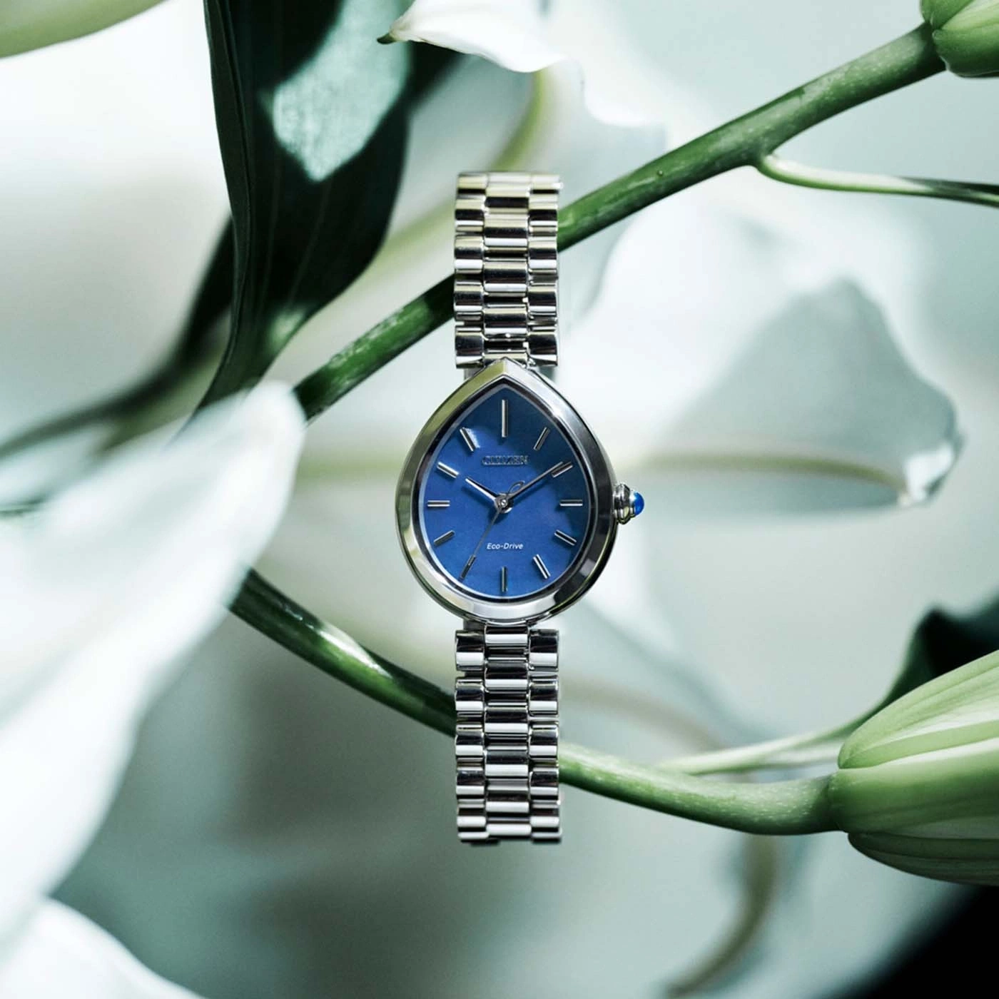 A blue Citizen Eco-Drive watch with a silver band rests on a green stem surrounded by white flowers.