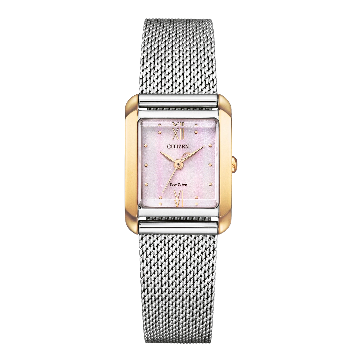 EW5596-66X Female Stainless steel rosa ø 21.5mm
